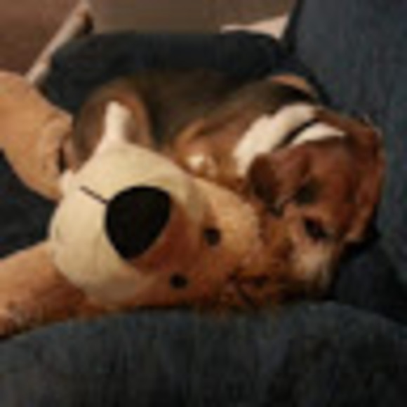 Meet your Posher, Elaine - Picture 1 of 1